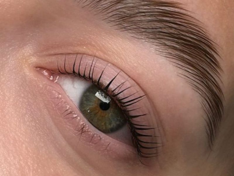 Formation Rehaussement de cils, Browlift & Teinture