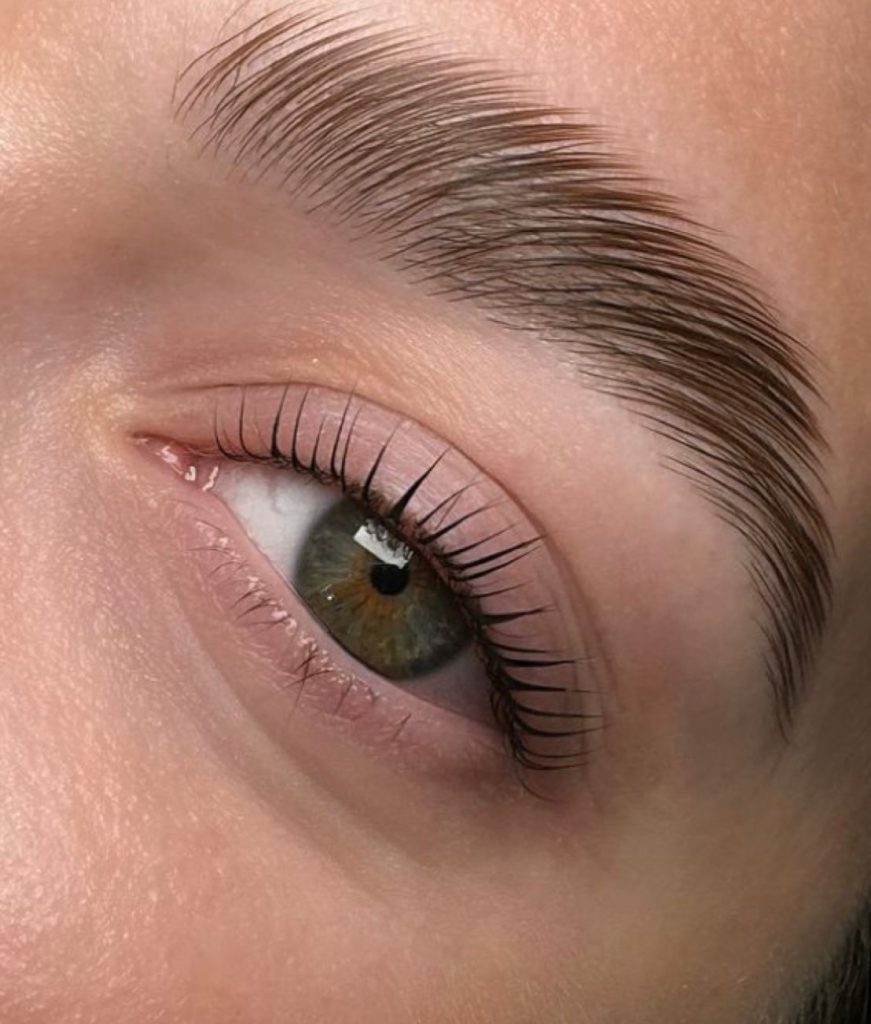 Formation Rehaussement de cils, Browlift & Teinture